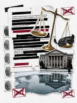 少数民族权利组织诉印度中央调查局（公民身份法修正案实施）案