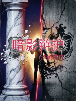 暗影辩护