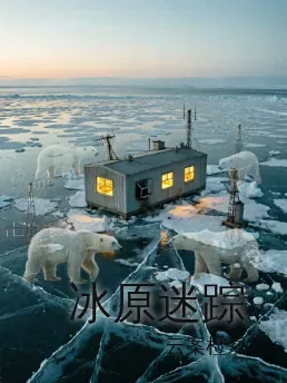 冰原迷踪